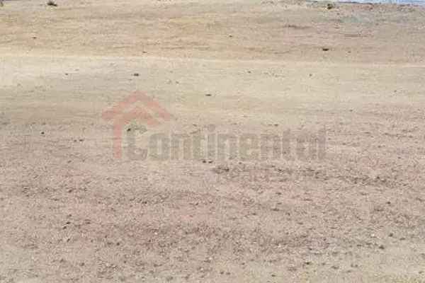 19263 Sq.Ft. Land  for Sale in Al Madam, Sharjah