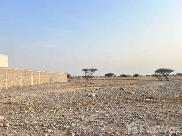 A rare investment opportunity in Ras Al Harf Al Khaimah area, land for sale